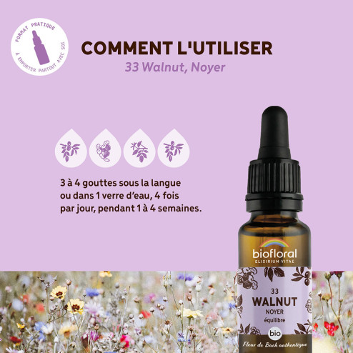Fleurs de Bach n°33 - Noyer/Walnut Bio
