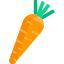 carrot_5346080.png