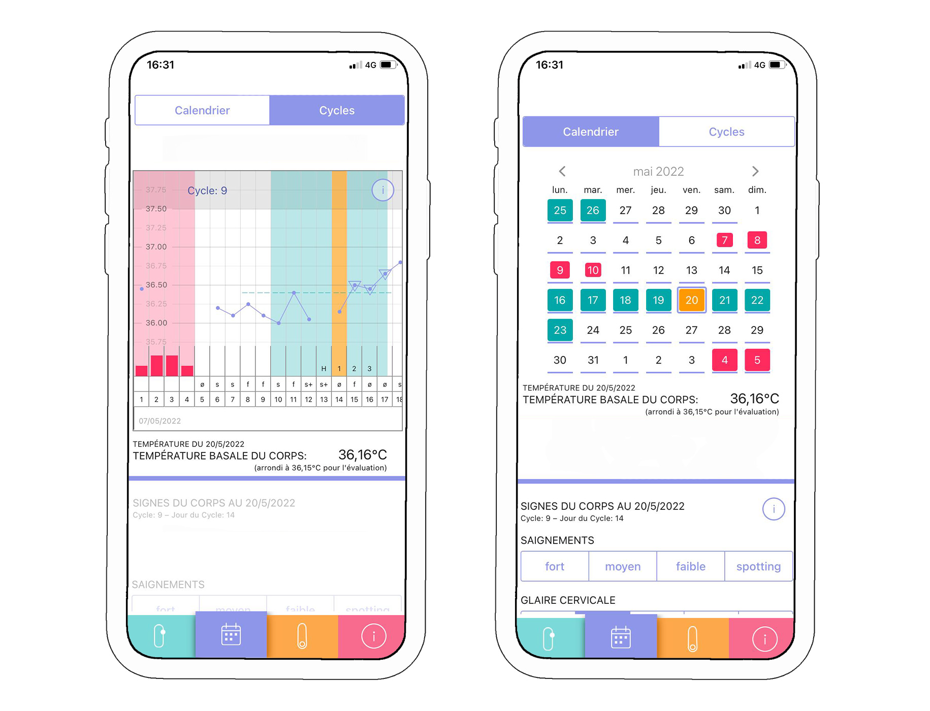 Screenshot courbe et calendrier cycle