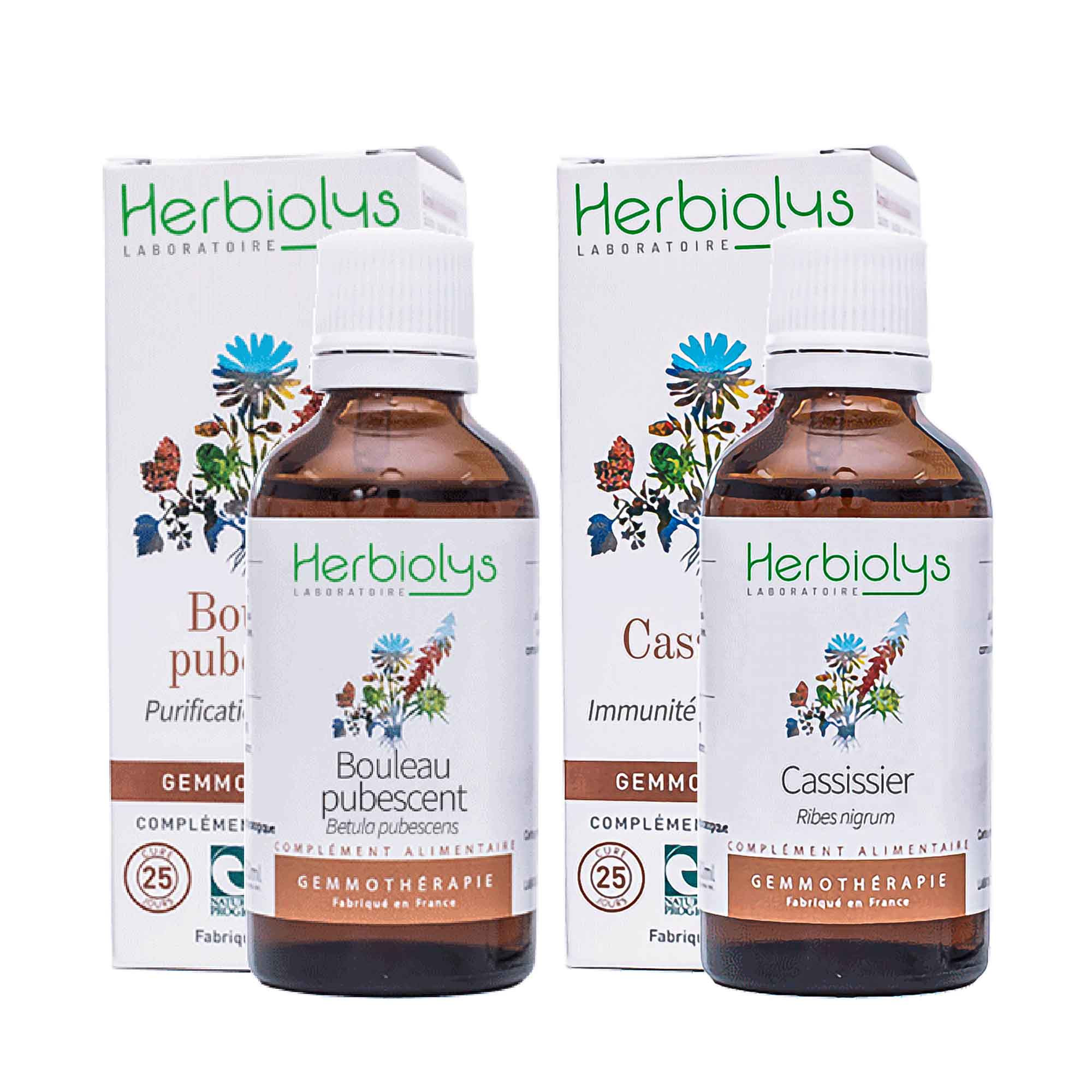 Pack Draineur et Immunité Bio : Bouleau pubescent + Cassissier